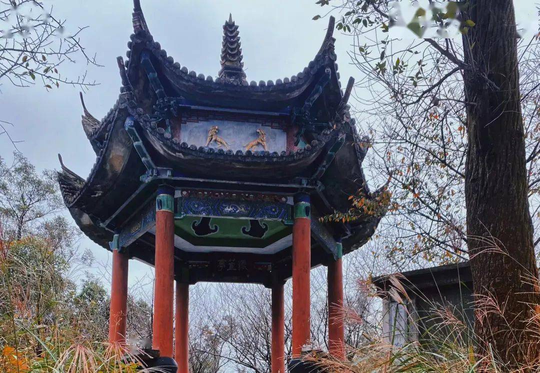 走,去金乡狮山公园!