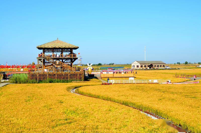 风景|去一个叫：辽宁盘锦的地方