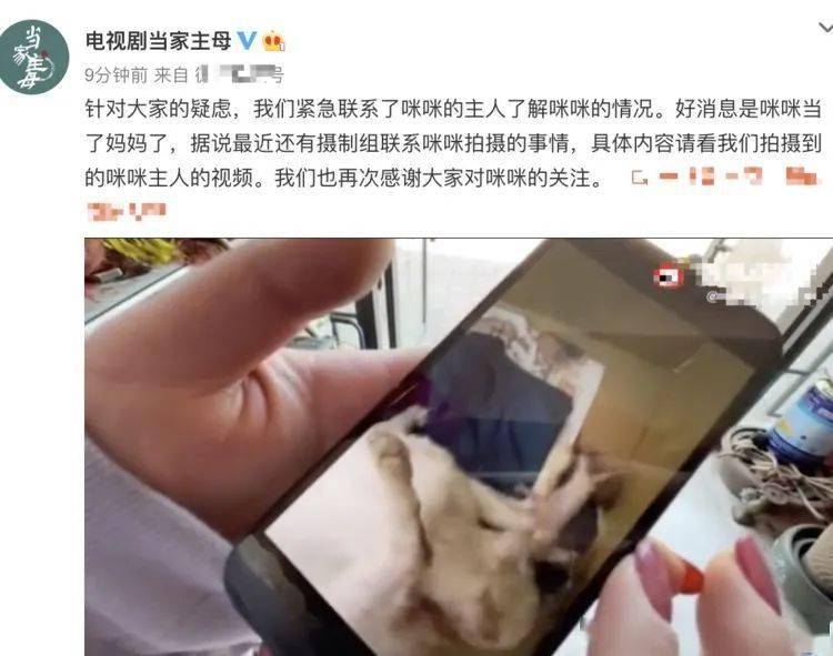 鹦鹉|圈内到底还有没有底线？