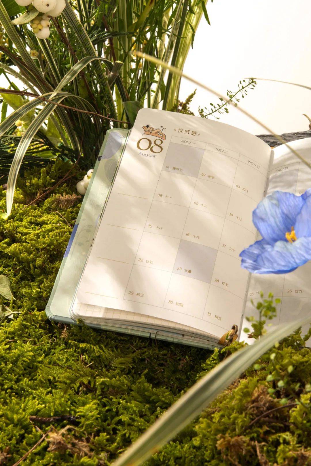 手帐来了|| 因为它，我今年的愿望基本都实现了！