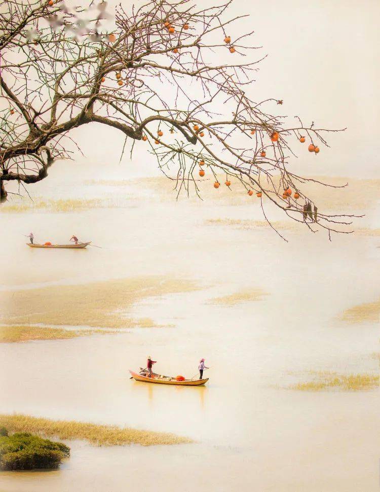 霞浦知青摄影组作品展_罗寿如_滩涂_叶定健