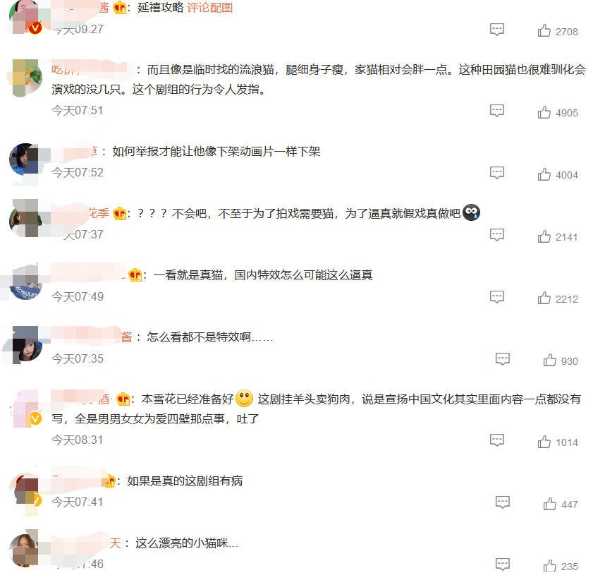 鹦鹉|圈内到底还有没有底线？