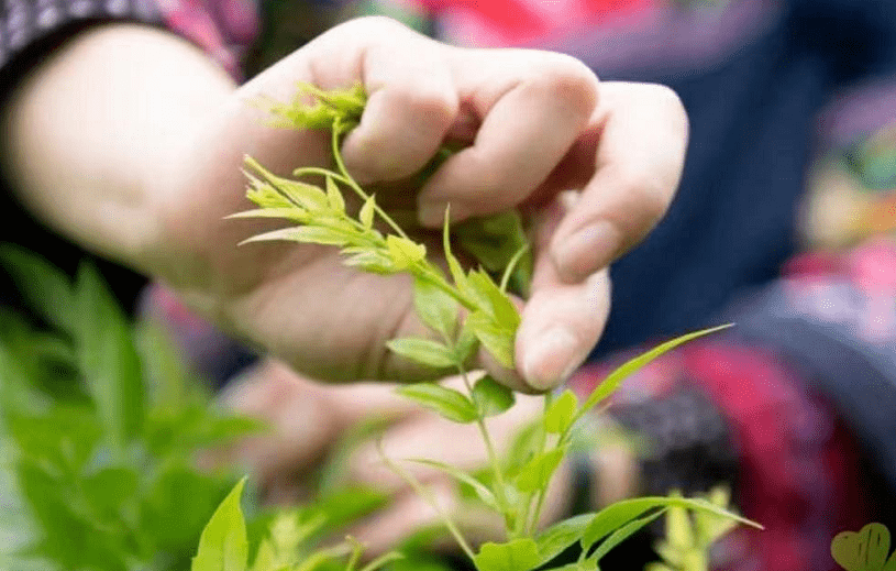 生活|提个醒：早晨起床，第一件事不是排便，也不是喝水，空腹喝它