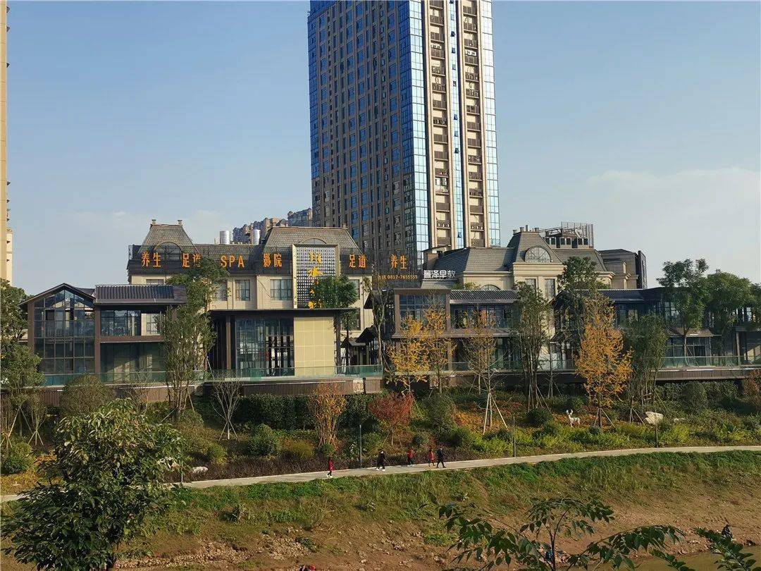 南充这个商业步行街何时能竣工开放?_西河_项目_印象