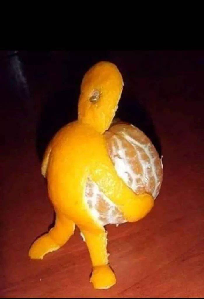 送你几张不正经照片,专治不爱笑的中老年人!