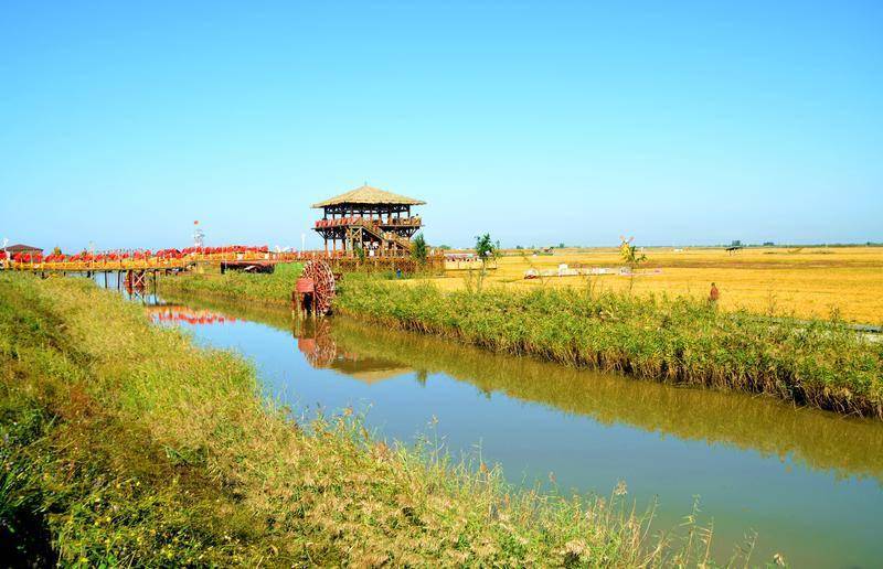 风景|去一个叫：辽宁盘锦的地方