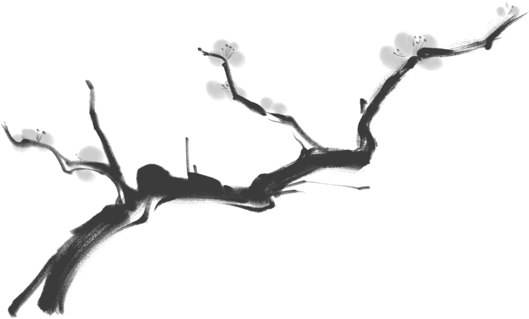 足月|误区，误区，误区！走出这个“误区”很简单