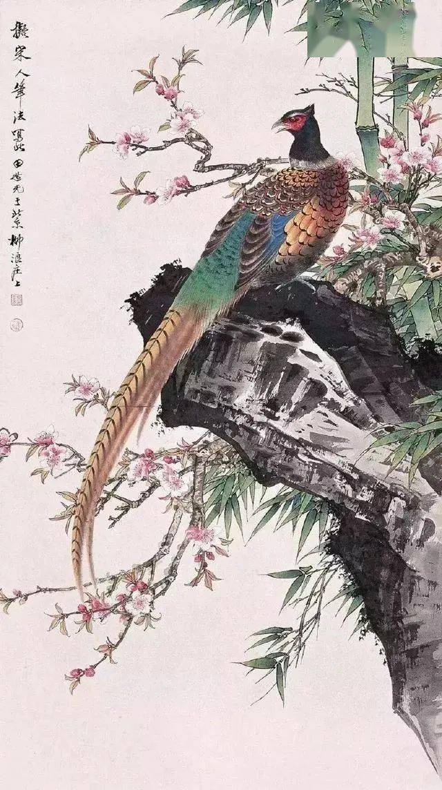 灵气逼人的国画禽鸟美到窒息