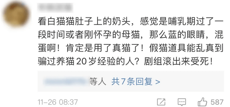 鹦鹉|圈内到底还有没有底线？