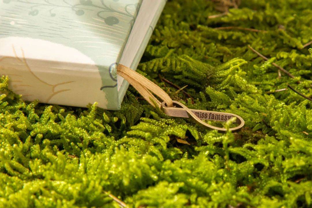 手帐来了|| 因为它，我今年的愿望基本都实现了！