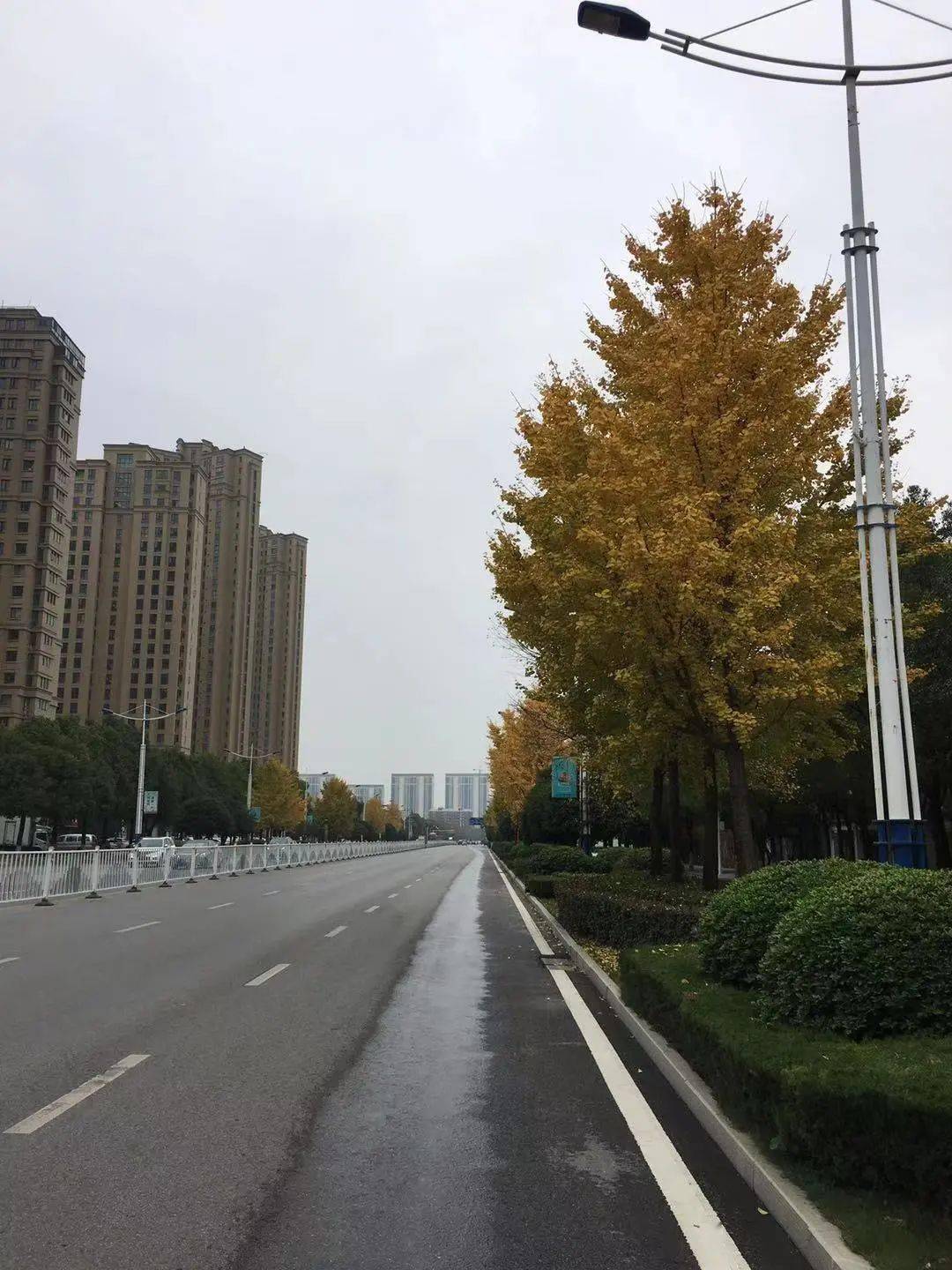 无特效解毒剂