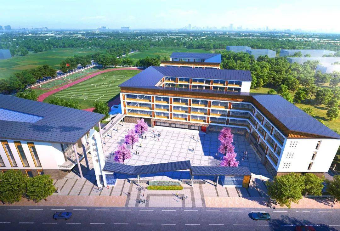 仙桥小学:逆风飞翔的仙鹤丨小城记_教育_金东_郭金