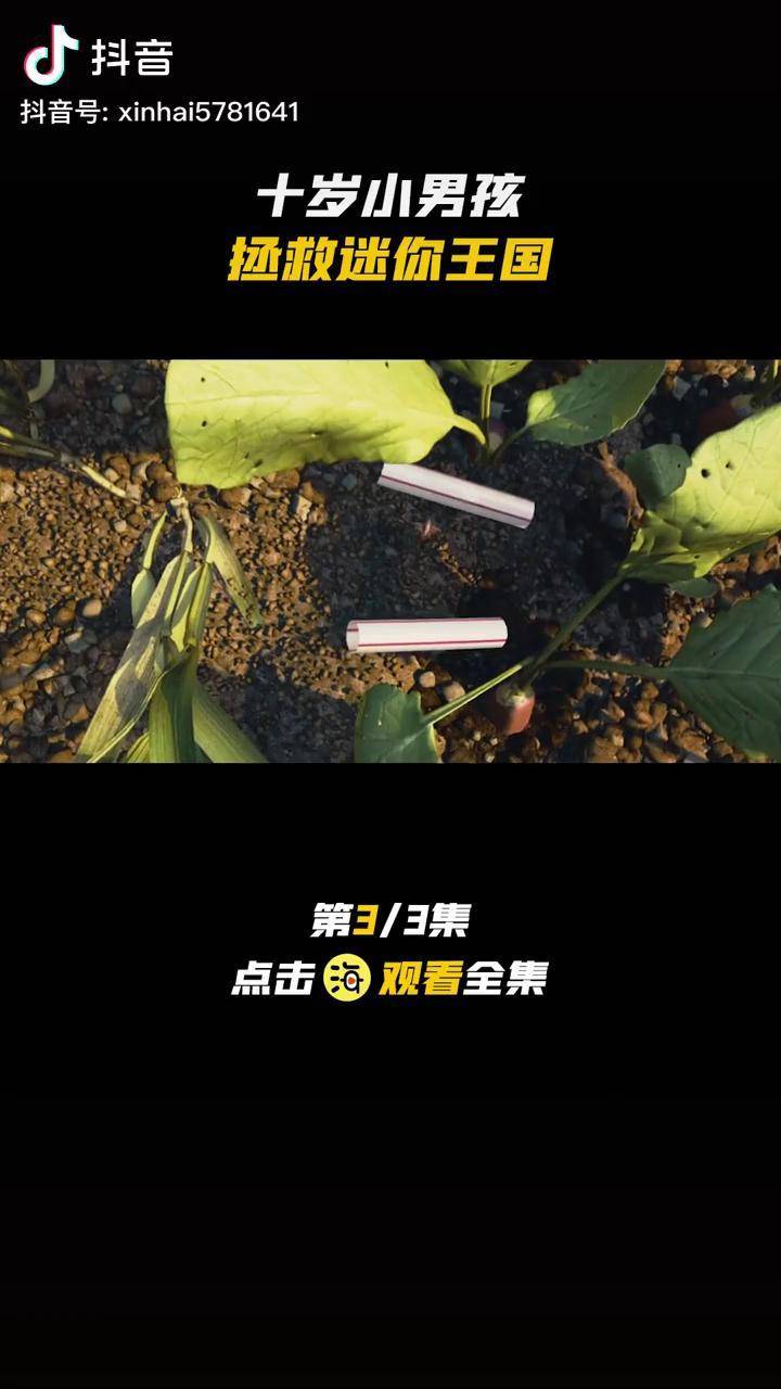 小男孩意外縮小後來到了迷你王國奇幻電影弗萊迪海默螢火計劃娛樂新星