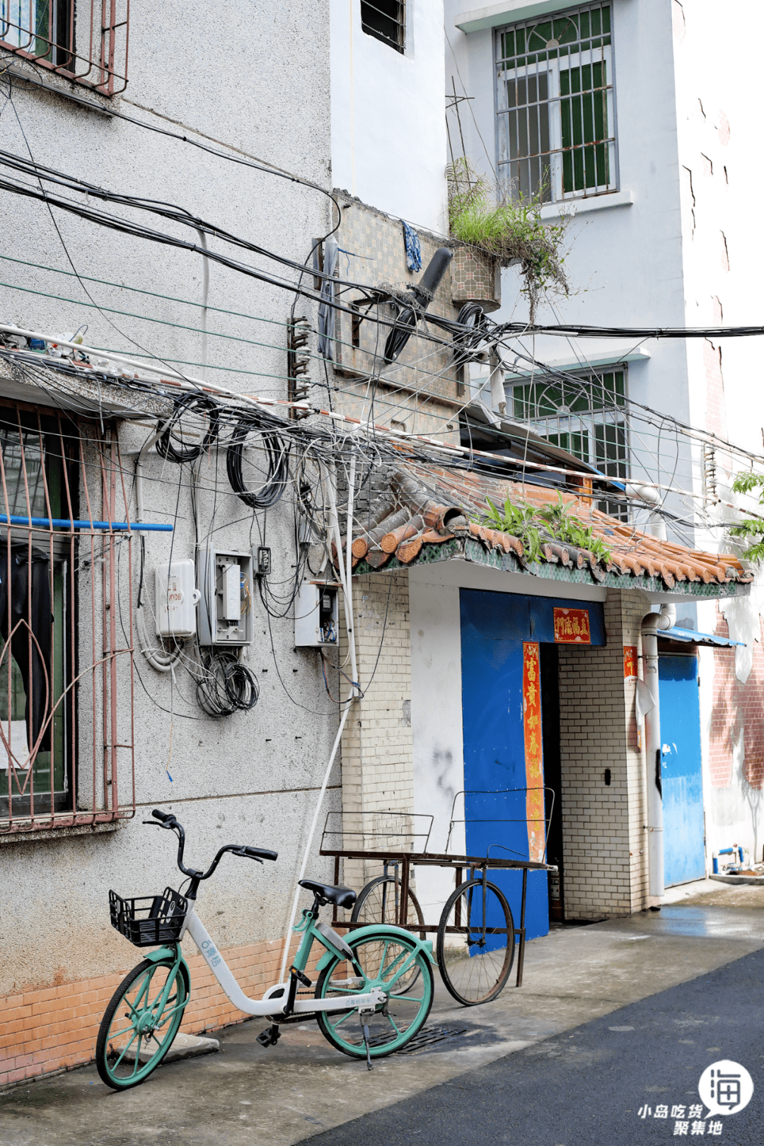 "从谈恋爱到结婚,再见了,华侨新村!"_生活_海口_别墅区