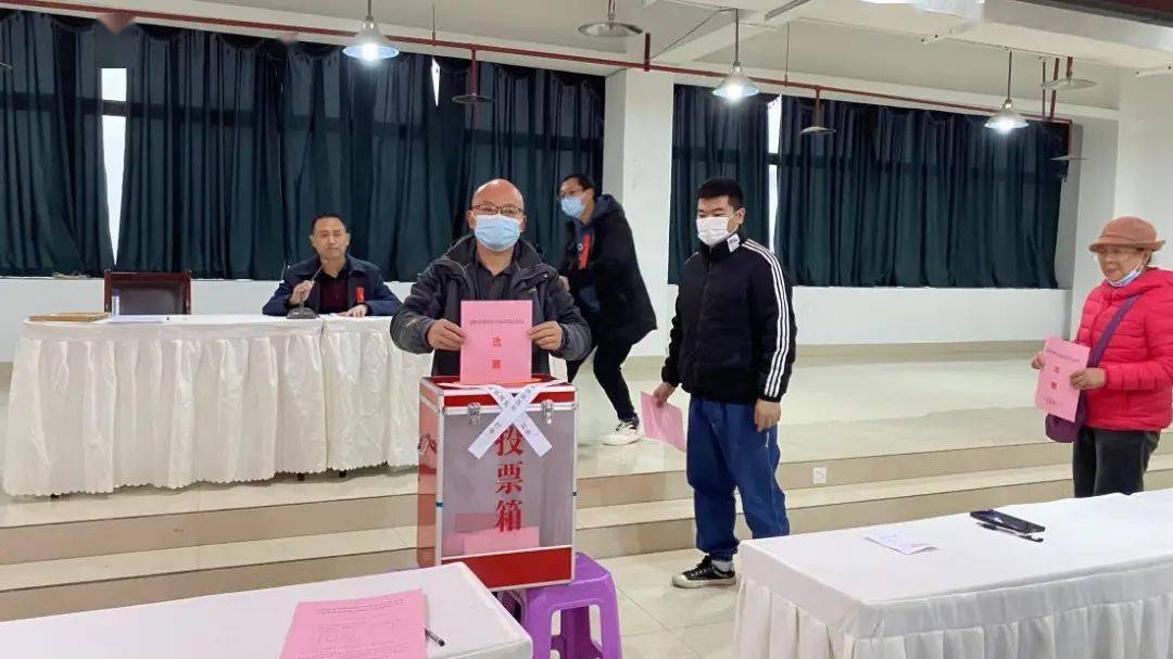 人大代表有什么特别权利 b1cac1e0e18f416aa78ee001b614ddf4.jpeg