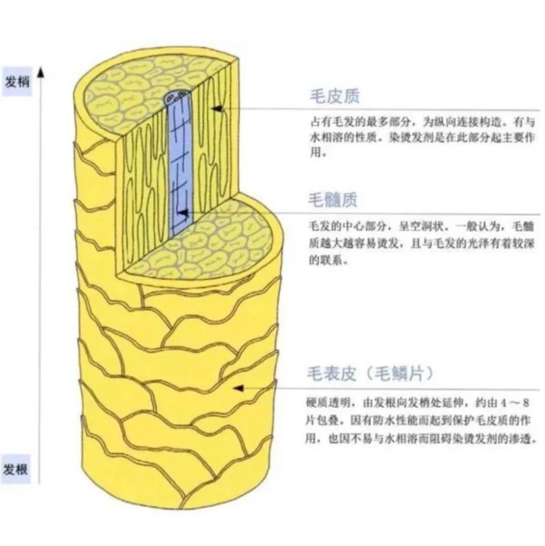 真丝头发又贴又带电，冬天护发怎么这么难啊！