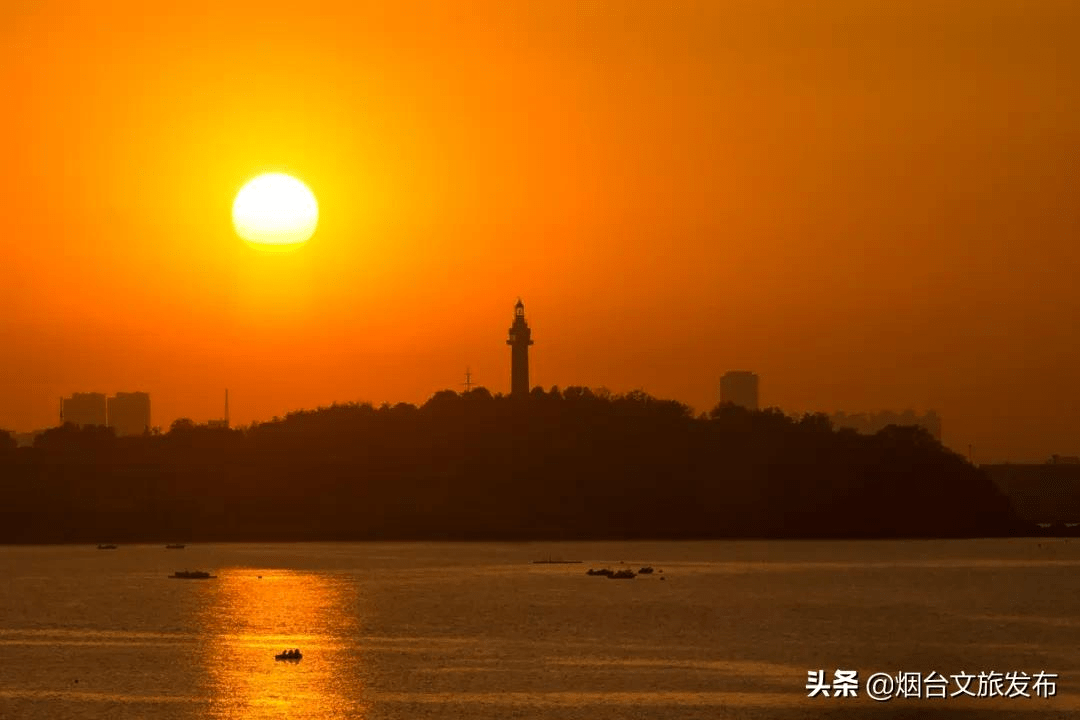 阳光|初冬到烟台，给你一点“暖”