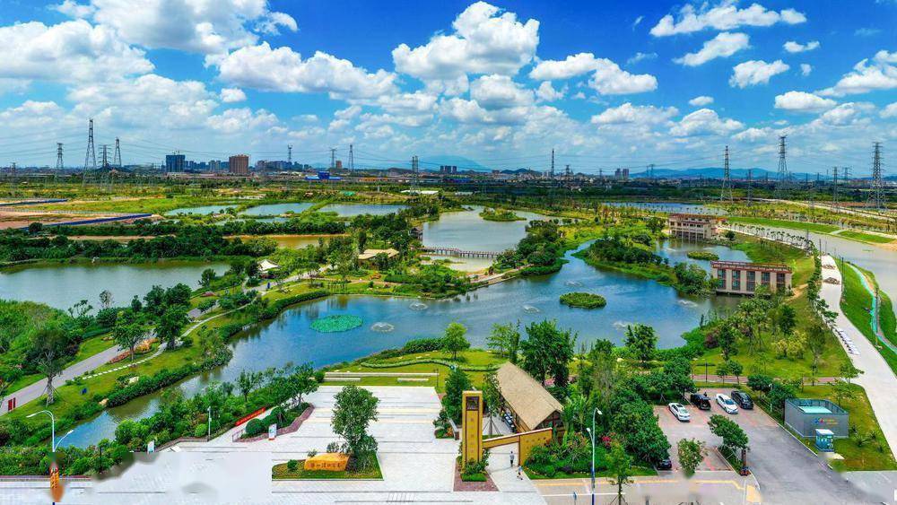 东莞谢岗乐园排渠碧道成为观鸟圣地