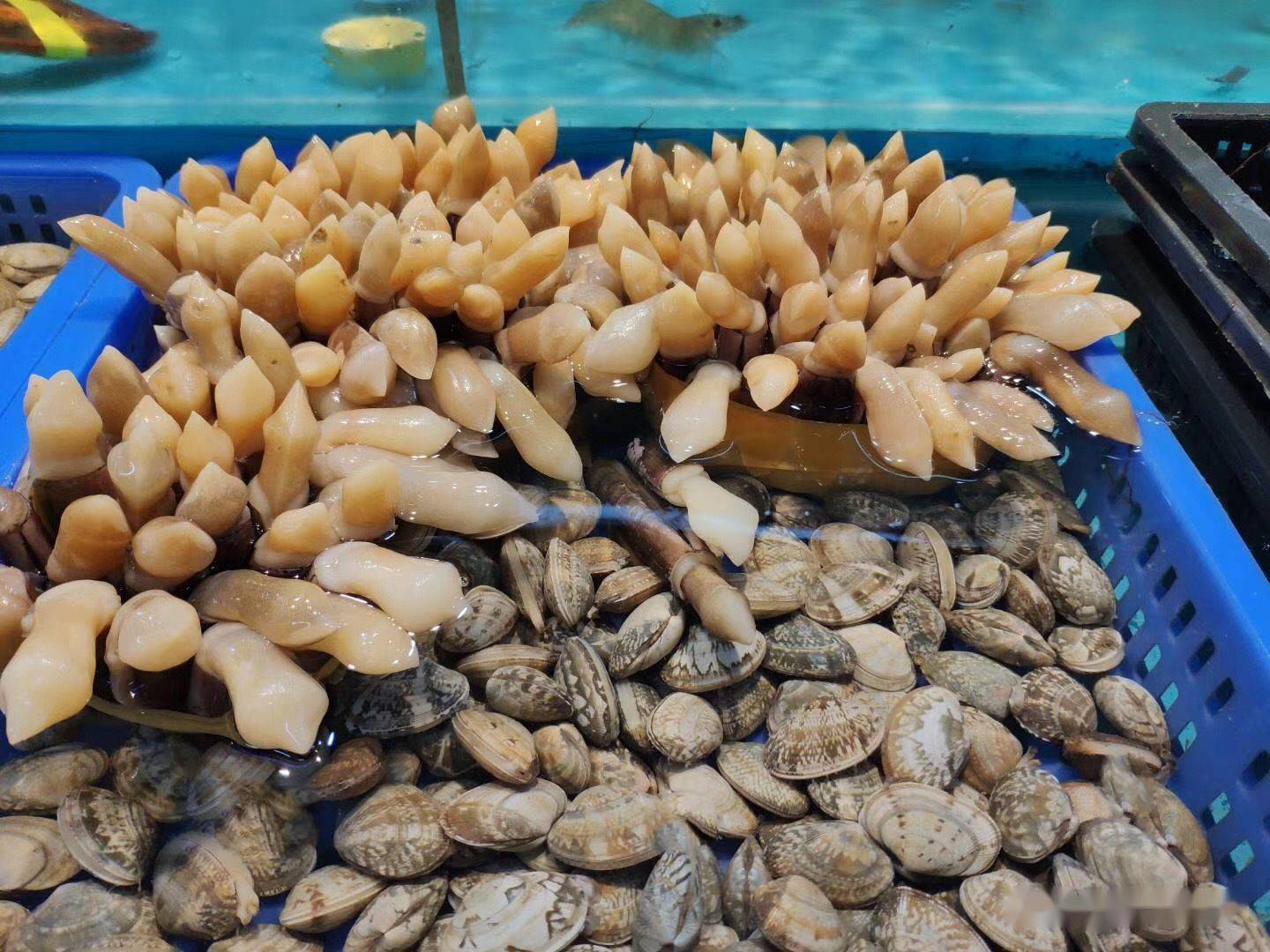 菜市场最坑的3种海鲜外表诱人还不贵老板内行人从来不买