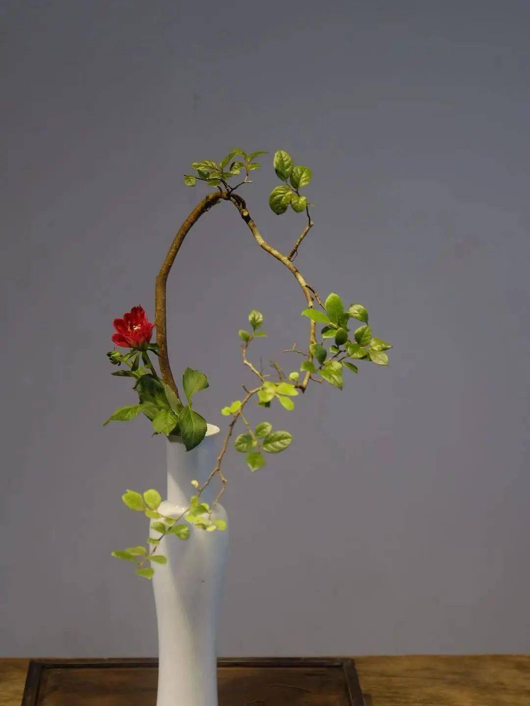 人文花道在形式上体现中国文人的精神特质,阐释"空灵"的绘画美学,以"