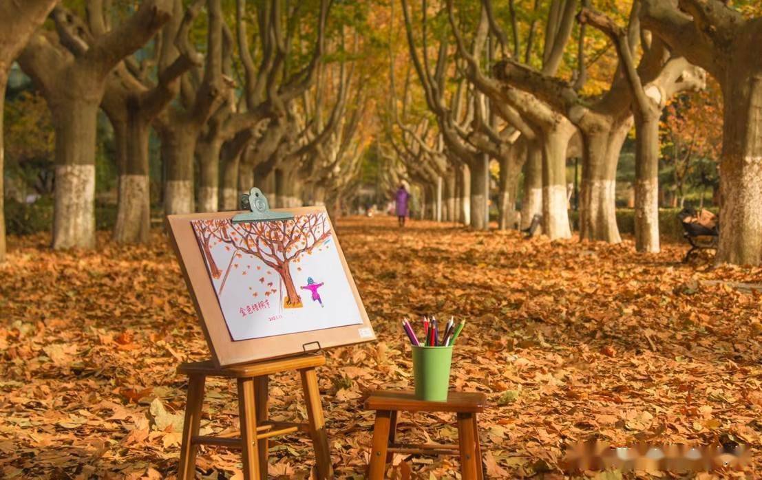 明年见第三届金色梧桐节闭幕