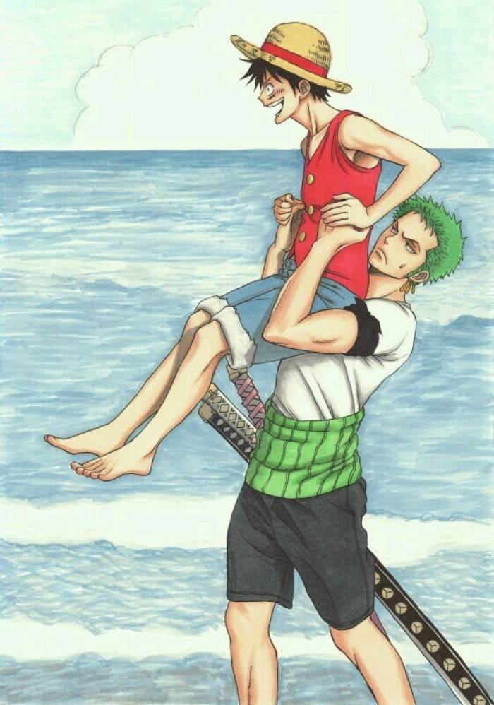 动漫海贼王路飞与佐罗