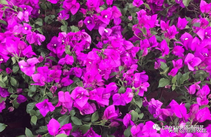 6b37cf919aff4935a3a3adc4472a1ffb.png