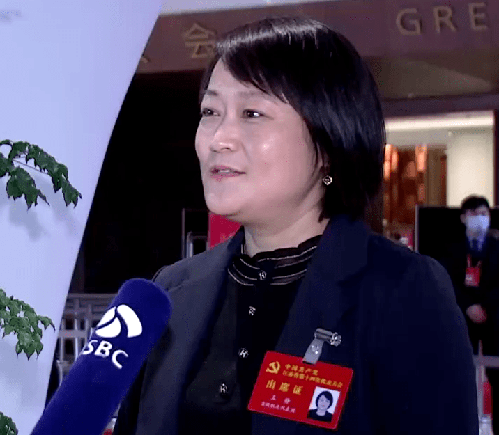 省生态环境系统党代表谈江苏生态环境