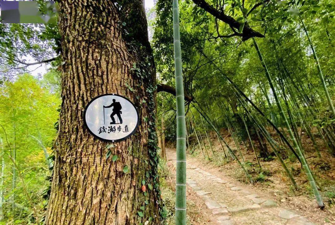 徒步古村上的岭南茶马古道,看宁波东钱湖湖光山色~_浙东_风景_韩岭