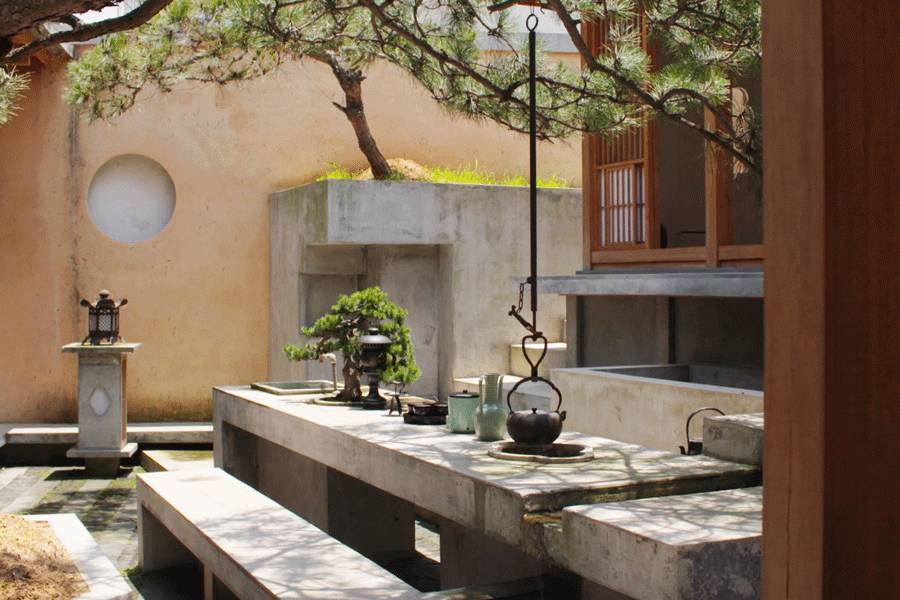 建筑师王欣为父亲造50㎡园子