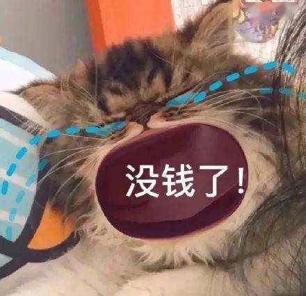 这笔扣费，年内取消！