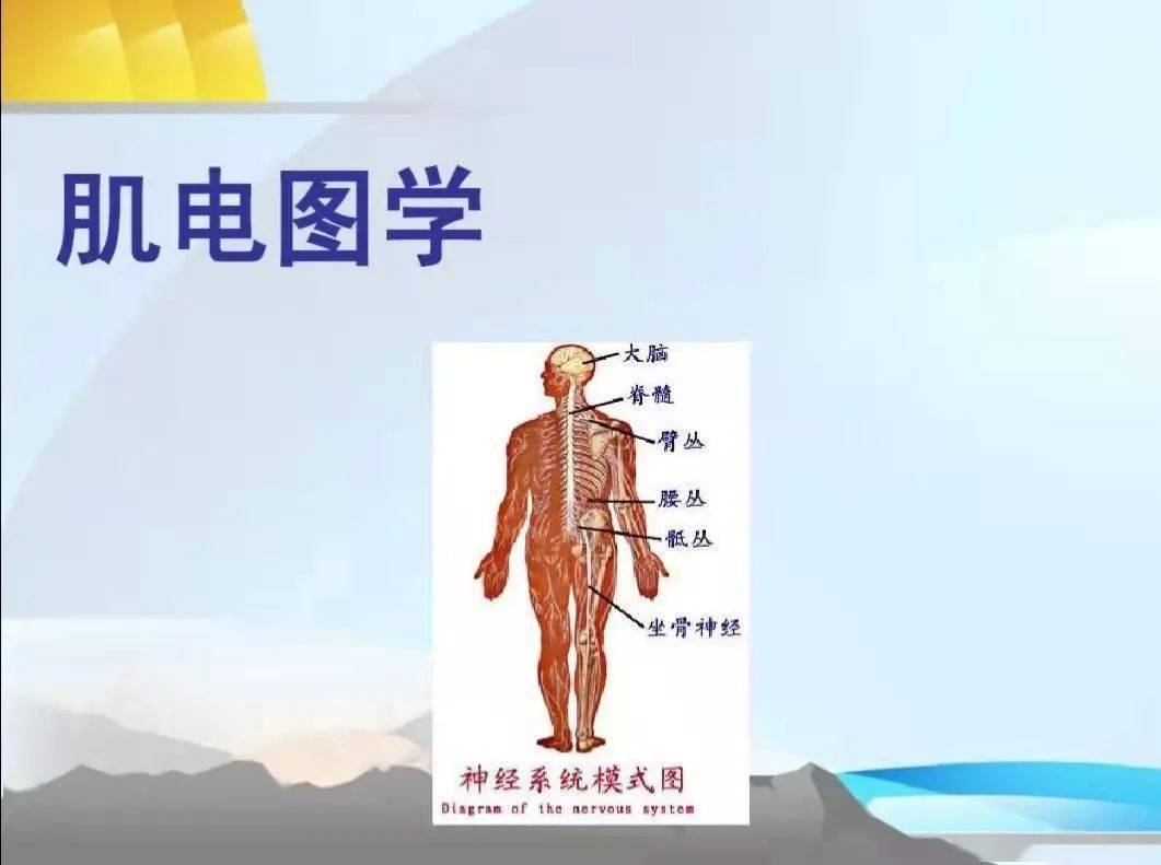 检查|揭开肌电图检查的神秘面纱