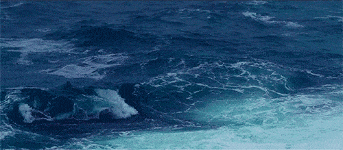 dc21d1839cbc45bfb4a602d741b66ba6.gif