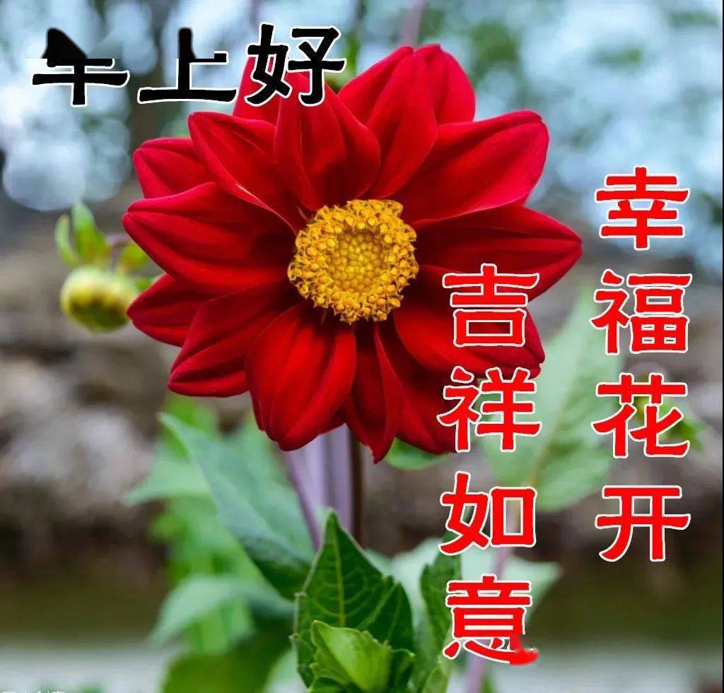 de7ebc5cb4094b0183897beb9a674e62.jpeg