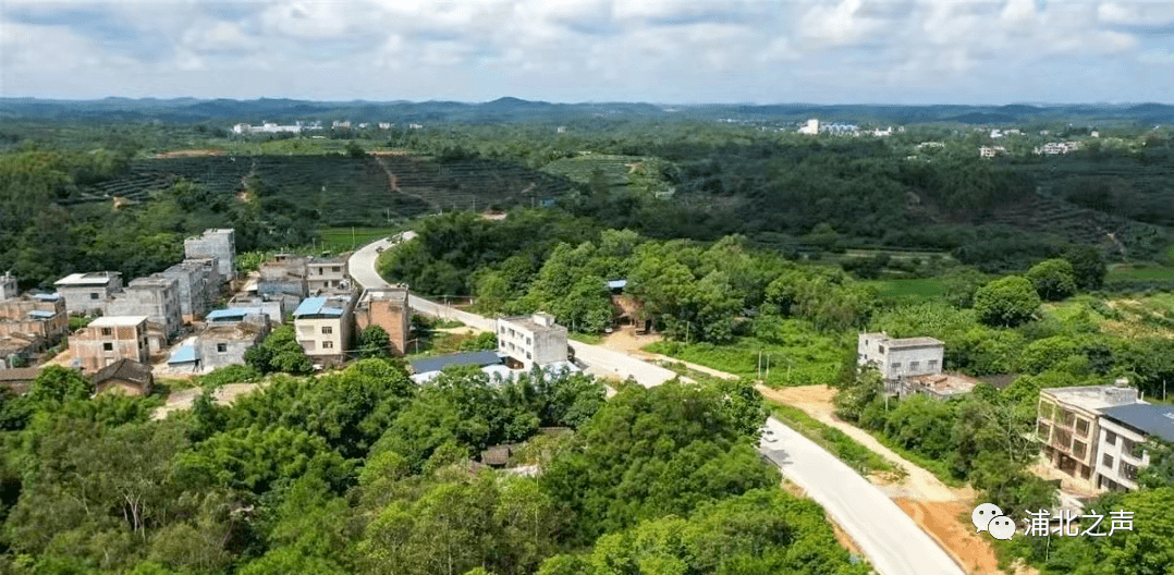 浦北:一路畅通百业兴 乡村振兴话"新丰"