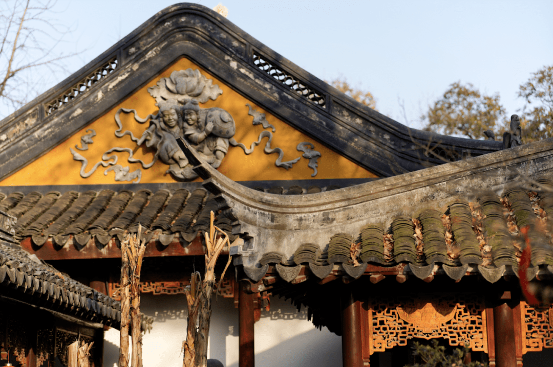 网红之外的苏州攻略,6000字都写不完_园林_创意_紫金