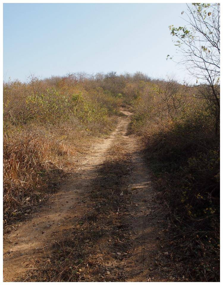 肥东浮槎山路图片