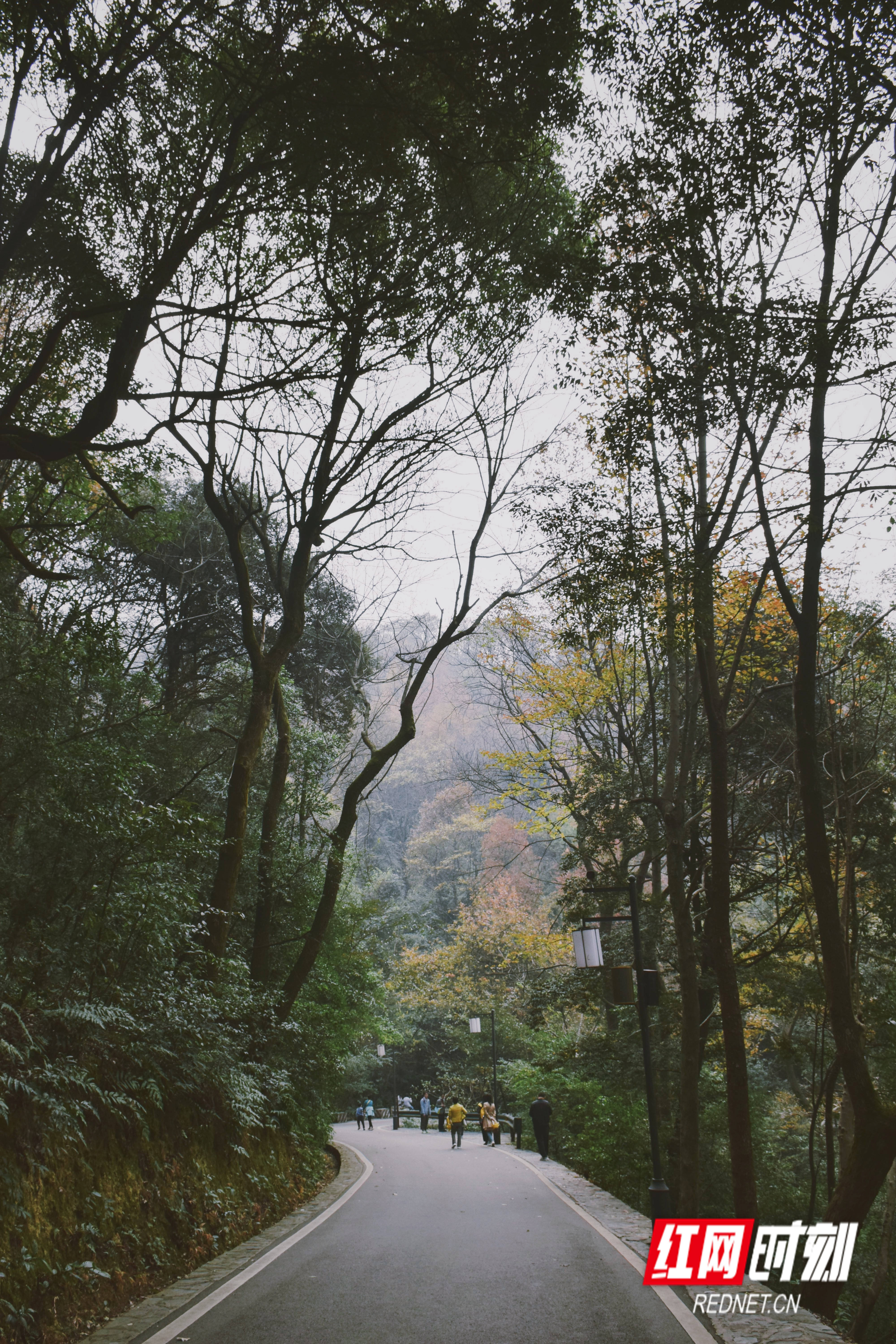 潮宗街|晴日当空，长沙各景正值美好时