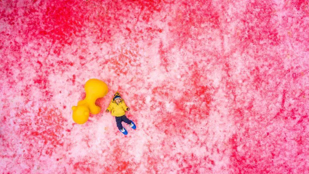 玉舍雪山"粉色雪"即将登场,还有更多惊喜