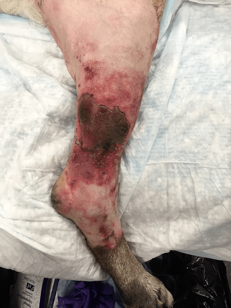 图片集药物不良反应有哪些表现一起来看看吧