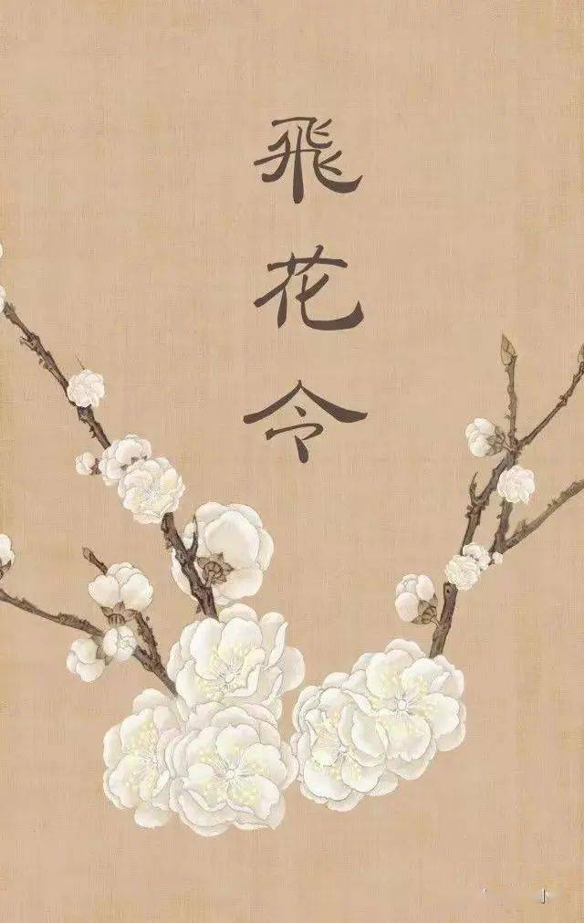 飞花令来啦！