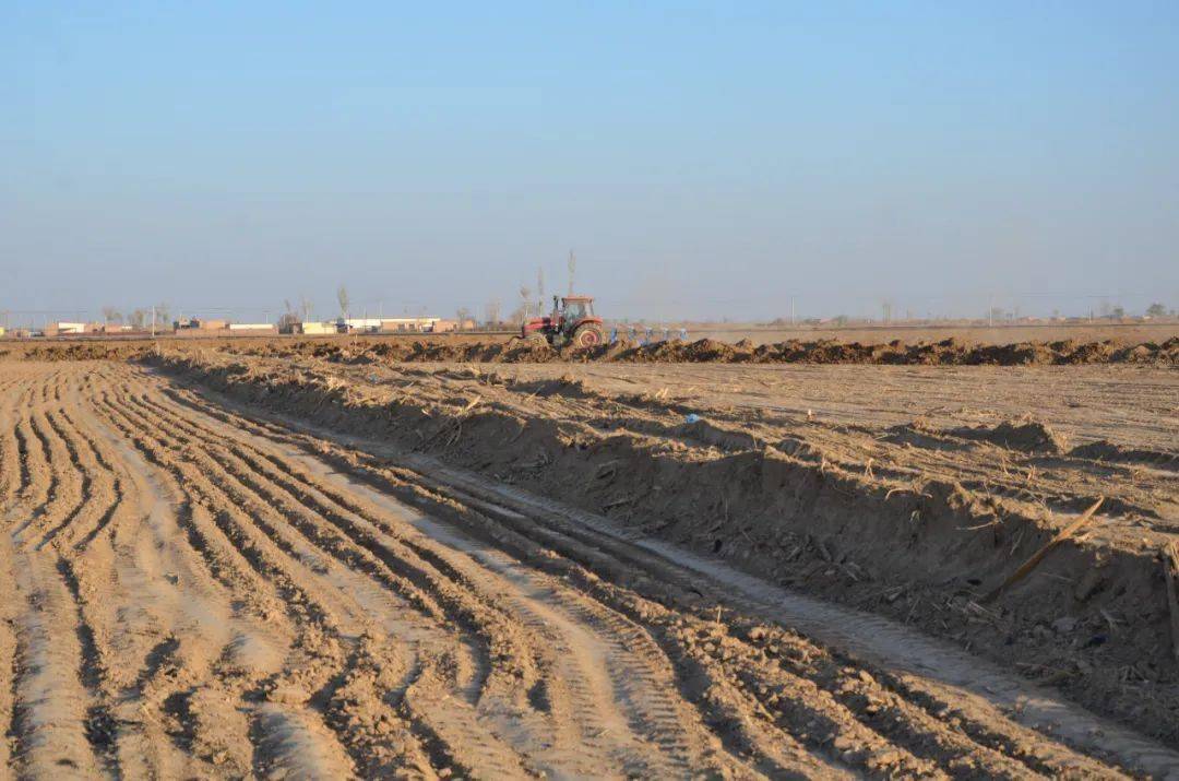 蛮会镇星火村2021年高标准农田建设项目区,记者看到经过前期平整地垄