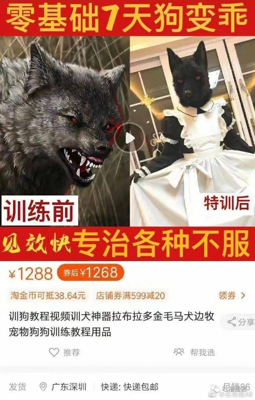 汤臣|“我在汤臣一品月入8w，跟刘亦菲做邻居…”啊啊啊请问还招人吗？！