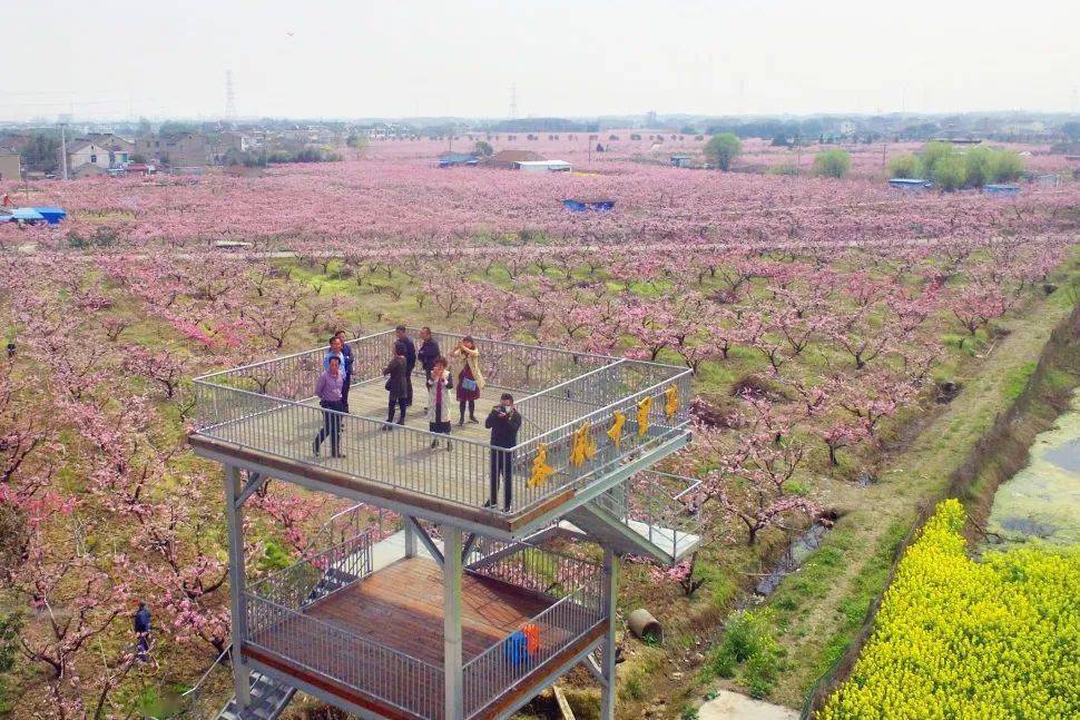 新型农村集体经济发展典型案例 | 江阴市顾山镇红豆村:"文化 产业"