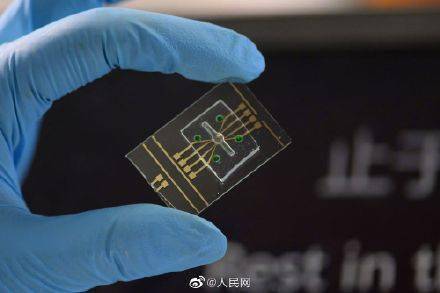 新突破！东南大学师生将校训存入DNA序列