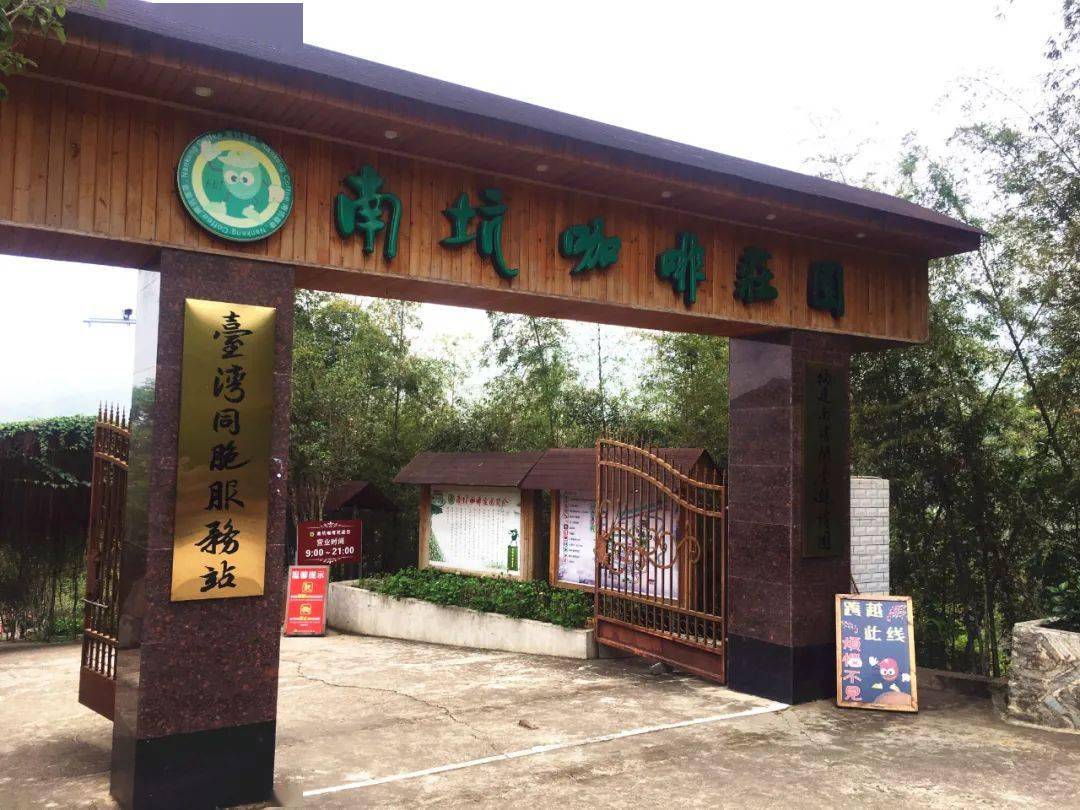 咖啡红了|山野树林的味道来了……_庄园_漳州_南靖