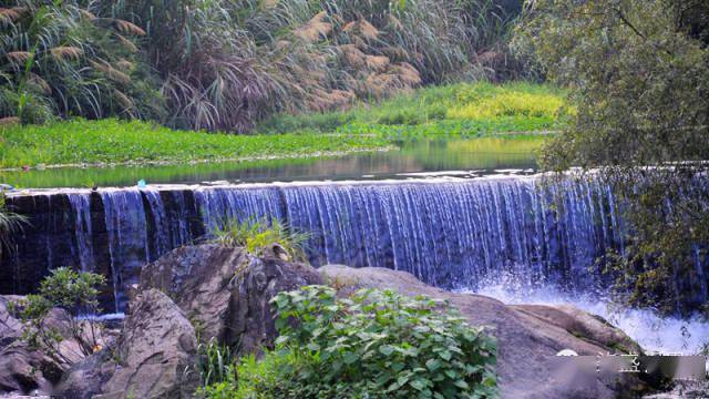 生态大坪,不一样的景色