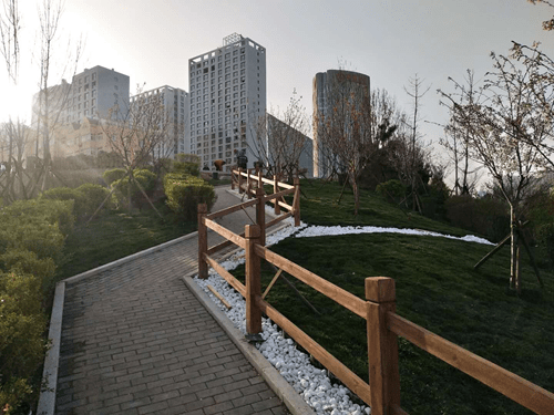 金家岭街道晒环境整治民生账单