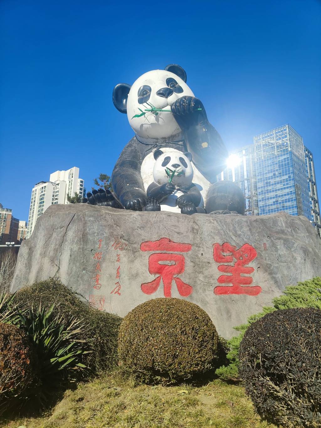 矗立9年的地标大熊猫太旧了望京街道快了新雕塑元旦亮相