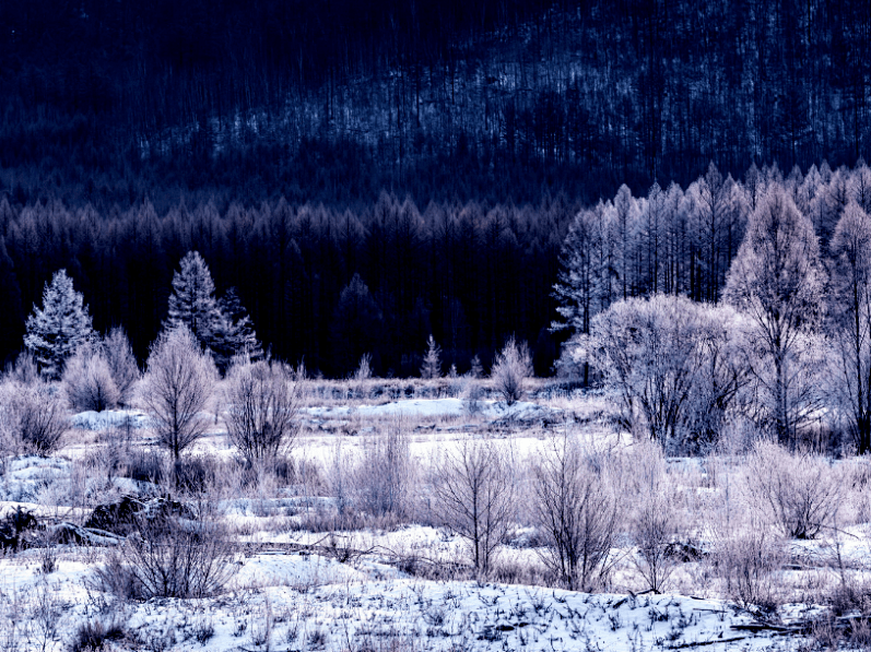 根河惊艳整个北方的冬季